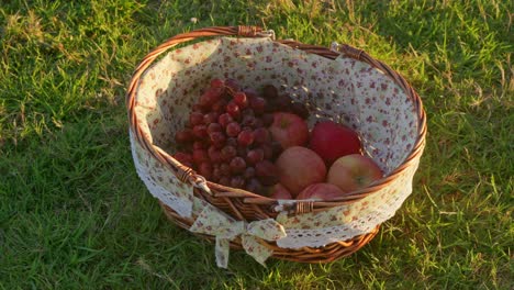 Slow-zoom-out-shot-of-Grapes-and-Apples-in-a-Picnic-Basket