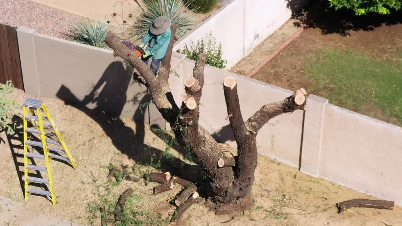 Aerial high angle drone view of an man balanced in the remains of a Mesquite tree trunk uses a chainsaw to remove limbs from the tree, Scottsdale, Arizona