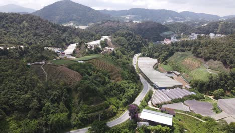 general landscape view of the brinchang district within the cameron highlands area of malaysia