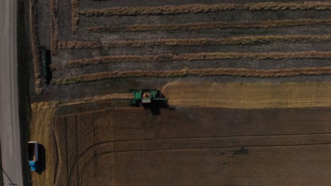 harvester-mows-rapeseed-aerial-video
