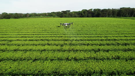 imagen aérea que muestra una trayectoria de vuelo lateral de un dron agrícola que aplica pesticidas sobre una plantación