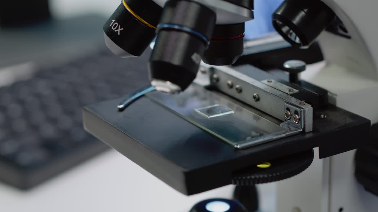 현미경의 클로즈업