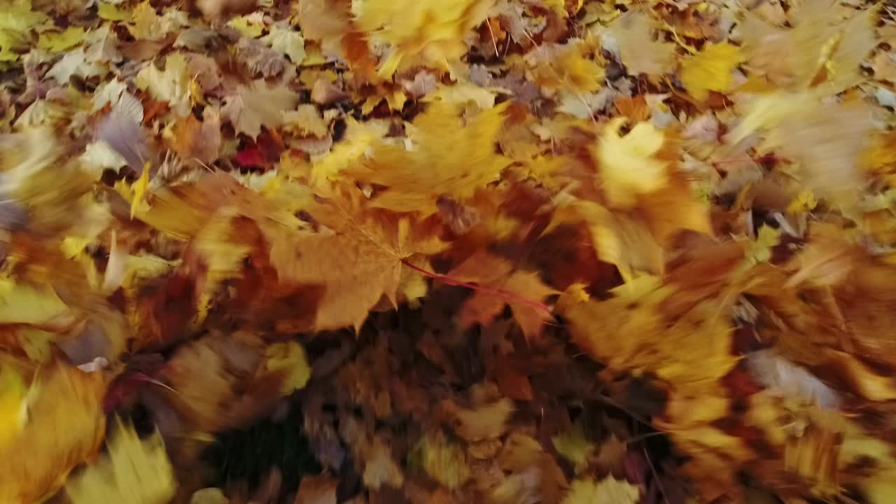 Drone creates wind that lifts and scatters autumn leaves in swirling motion