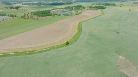 aerial establishing view of ripening grain field, organic farming, countryside landscape, production of food and biomass for sustainable management, sunny summer day, wide drone shot moving forward