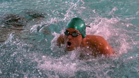 muscular swimmer doing the butterfly stroke in the pool