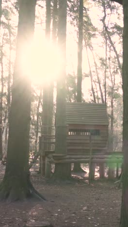 wooden treehouse in a forest at sunrise/sunset