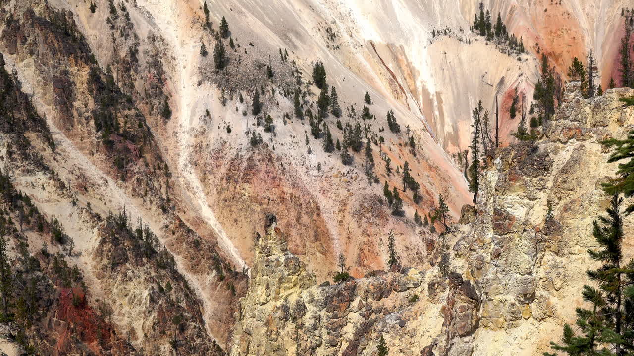 Kamera mendongak ke dinding ngarai berwarna-warni hingga garis pepohonan di Grand Canyon Yellowstone.