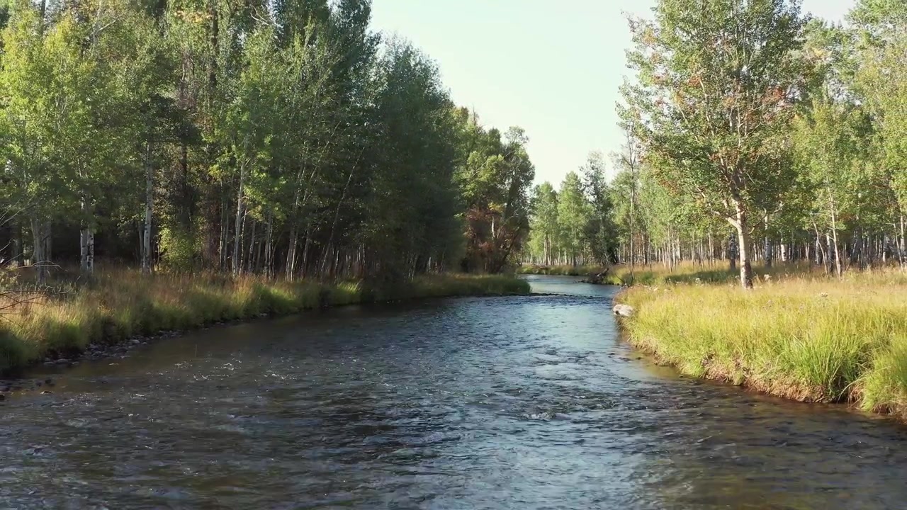 Ujęcie rzeki z drona w dolinie w ciepłym porannym świetle. Śledzenie wsteczne. Nagrane w 4K.