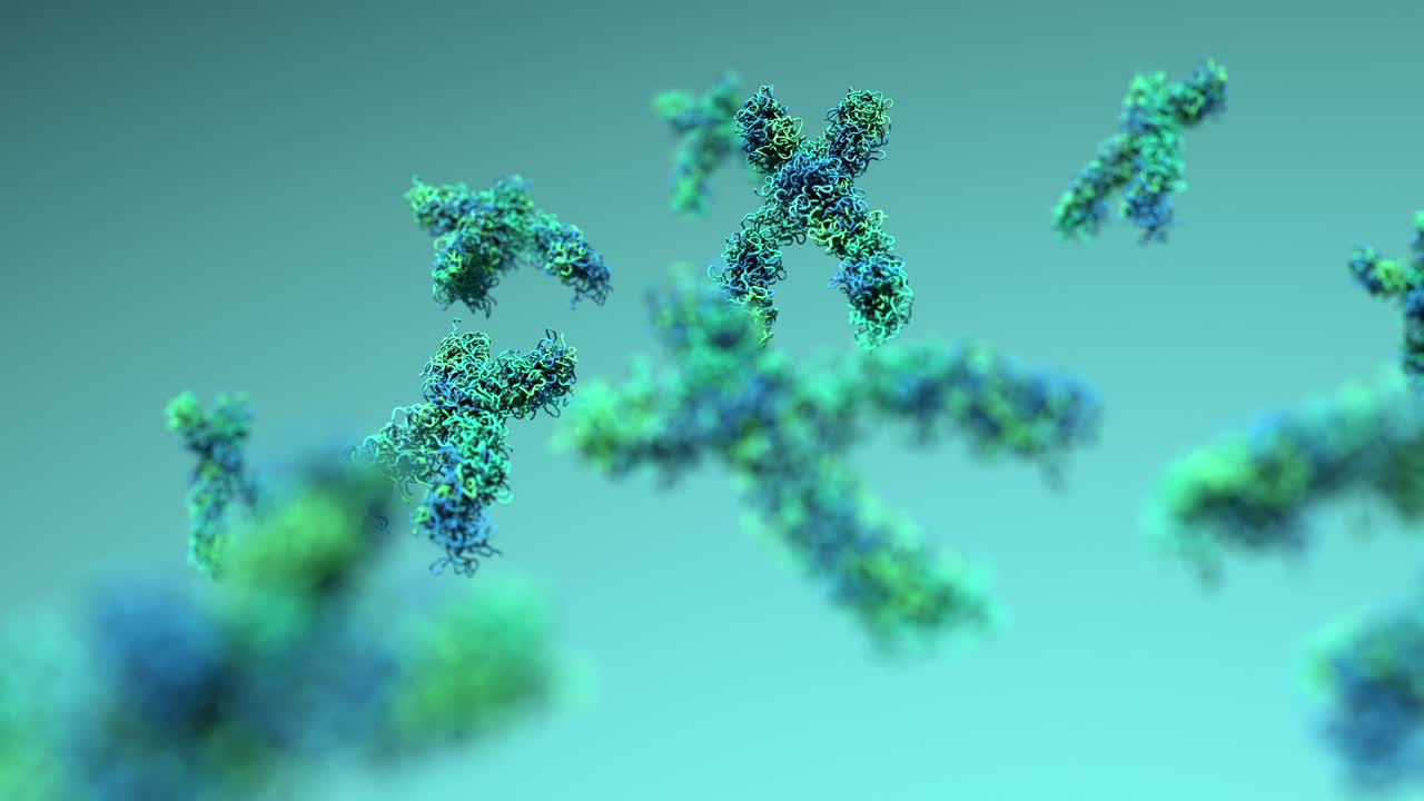 염색체, x 염색체: 움직이는 세포에서 4k