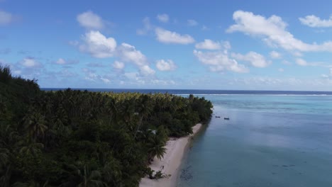 el paraíso aéreo se eleva sobre la palmera de los mares tropicales del sur de la costa de la isla