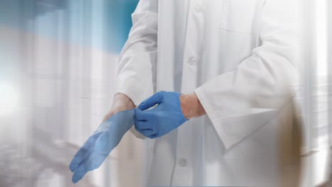 animación de un médico de la sección media que se pone guantes quirúrgicos