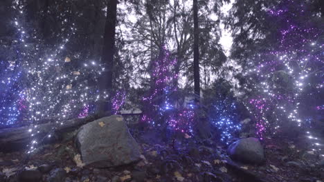 pequeño estanque decorado con coloridas luces navideñas