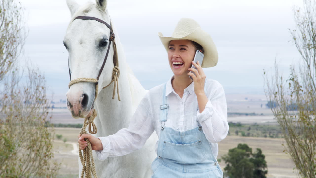 아웃백은 가장 좋은 연결을 찾을 수 있는 곳입니다.