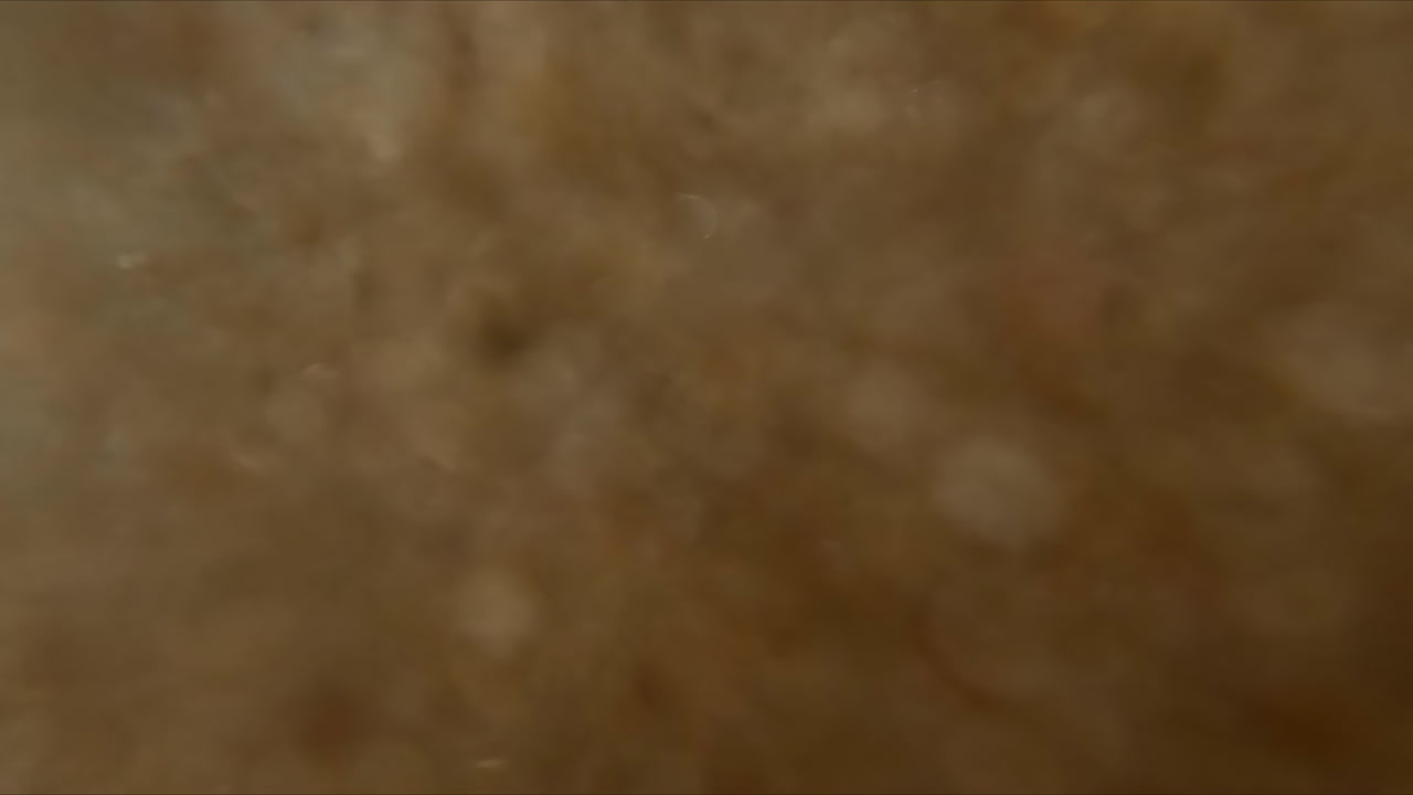 아름다운 해변에서 모래와 나무가 물에 회전하는 아름다운 여름 여행 동안 휴가에  ⁇ 은 구름없는 날에 낮은 각도 클로즈업  ⁇