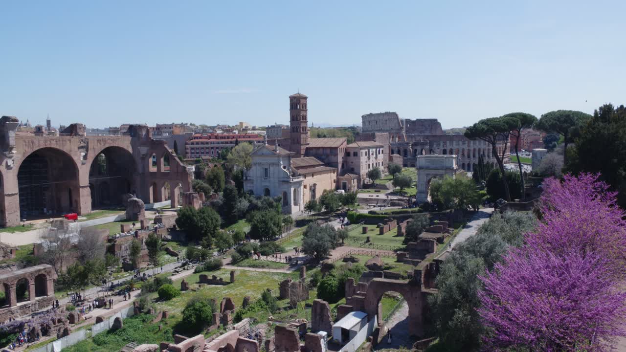 Veduta panoramica del Foro Romano e del Colosseo con fiori viola
