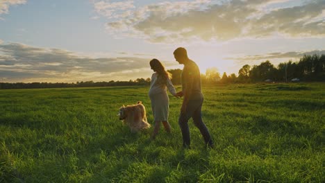 Pregnant Couple Walking with Dog at Sunset