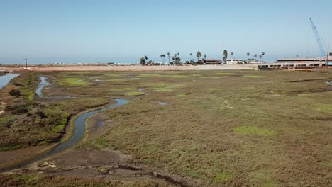 Blick-Von-Einer-Drohne,-Die-über-Ein-Land-In-Der-Nähe-Des-Strandes-Fliegt