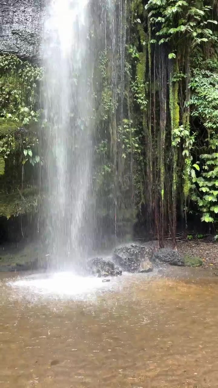 Air Terjun Kecil Mengalir di Dinding Batu Berlumut di Hutan Tropis