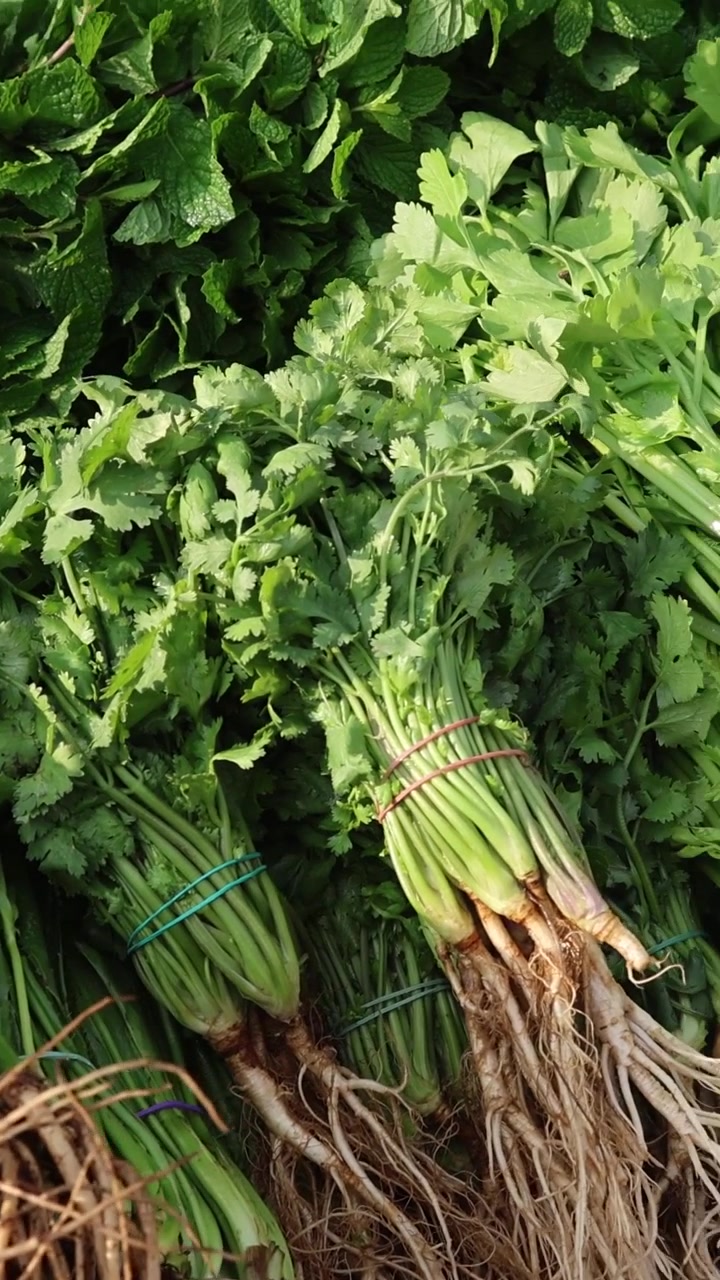 Various vegetables displayed for sale outdoors