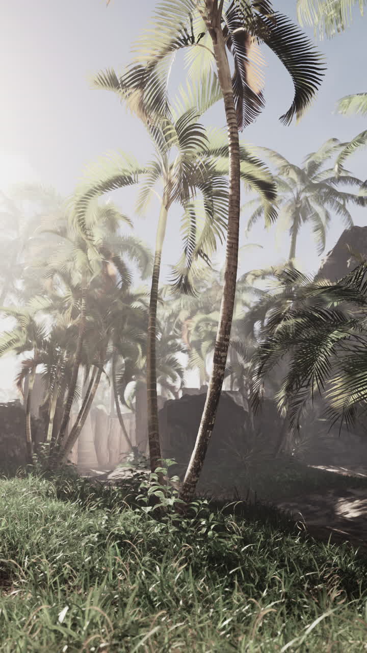 울창 한 열대 정글 에 있는  나무 들