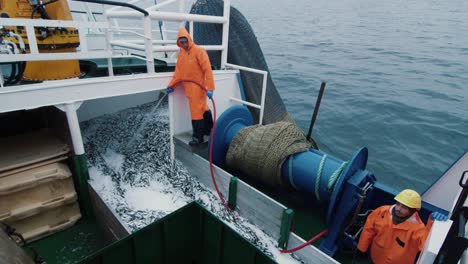 fisherman rinses caugth fish on board of commercial fishing ship