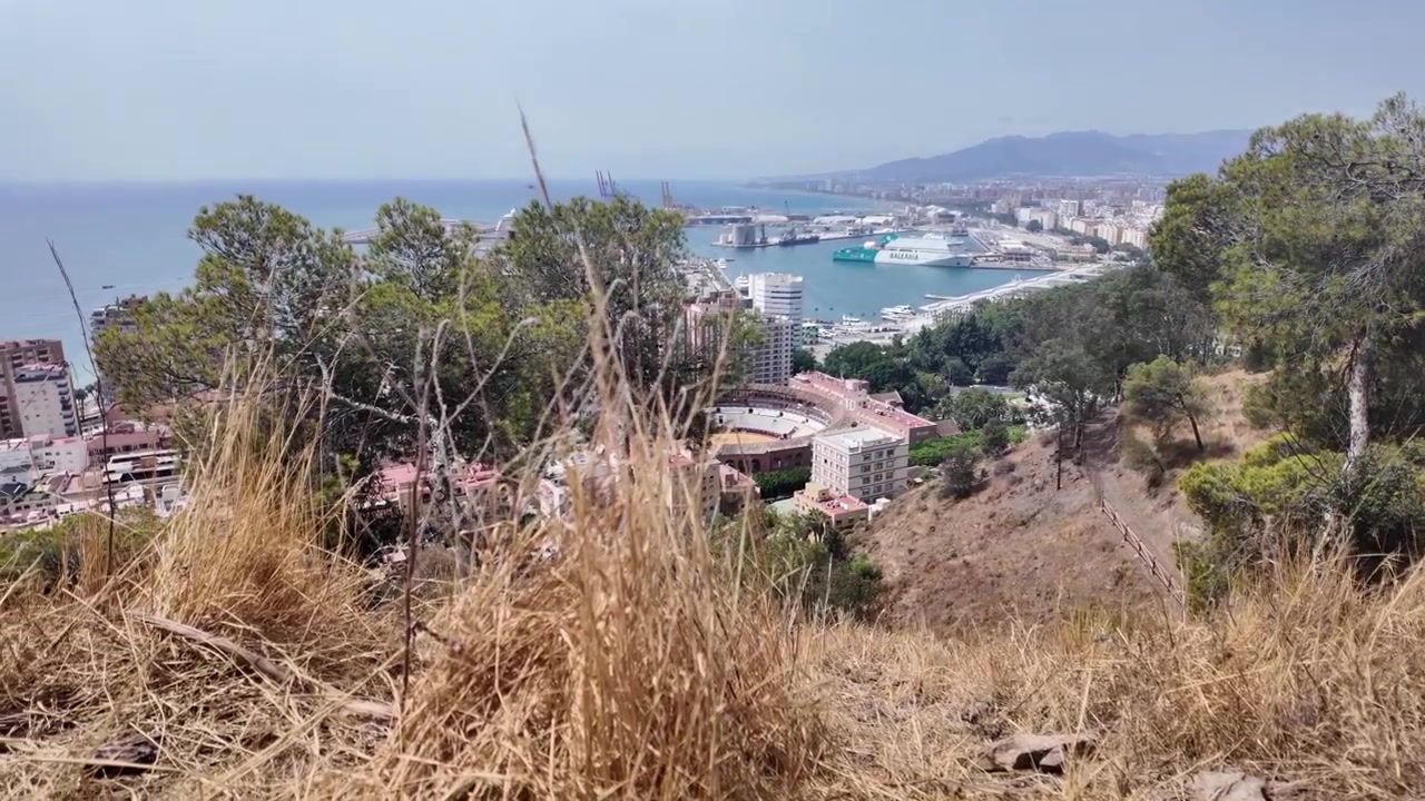 Udsigt over Malagas havn fra Gibralfaro-bakken med tørt græs.