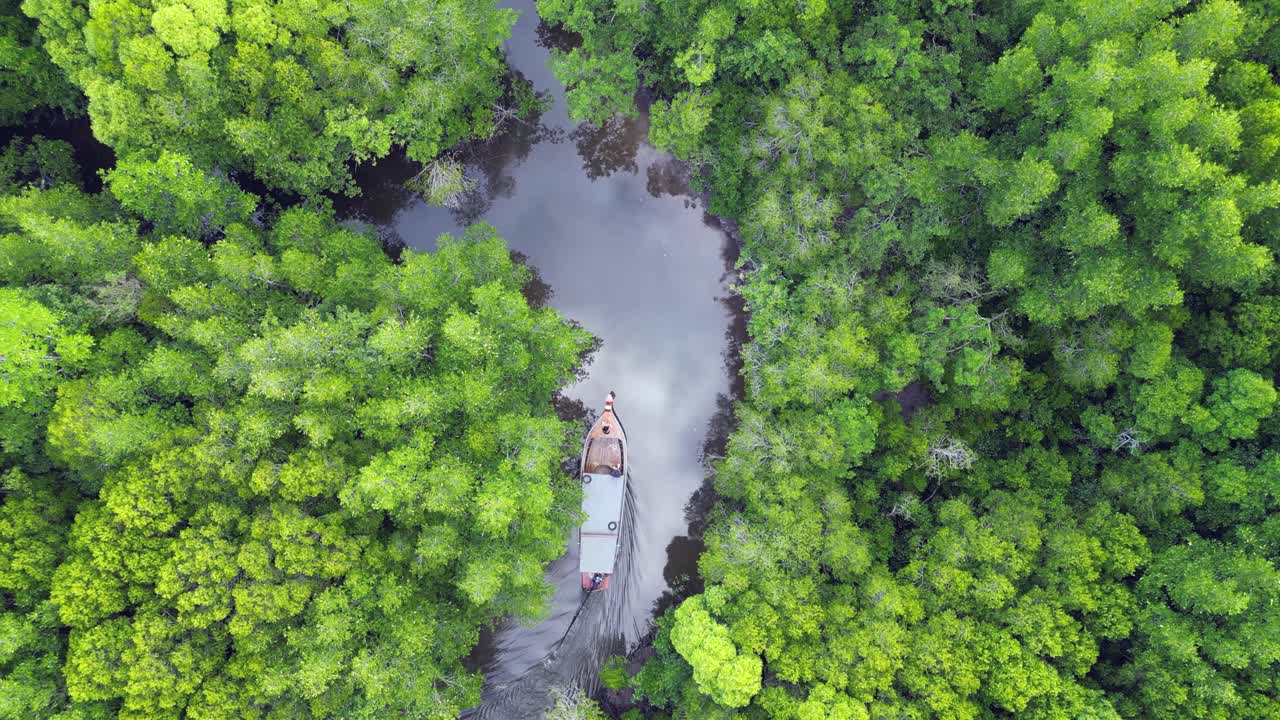 Aerial View of a Boat Navigating a Mangrove Forest River