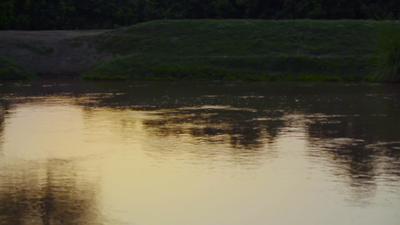 A big old tree is standing near a flowing lake where the sun is going down over the trees, Making silhouette view on the water and tree