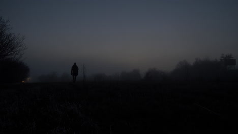 Figura-De-Mujer-Caminando-Sola-Por-La-Noche-En-El-Campo---Haces-De-Luz-De-Camión-Distantes