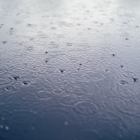 many drops of rain are falling into the blue water outdoors. heavy rain on the dark water background. rain drops fall on water surface of pond, lake, river forming uniform background.