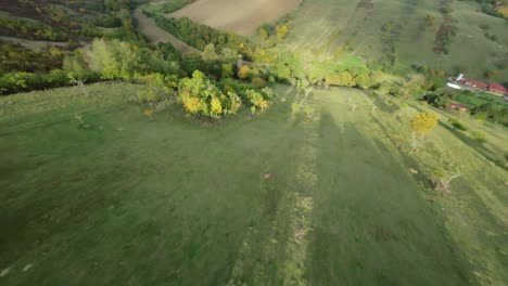 cruising fpv drone shots of autumn colored trees in the nature of czech republic