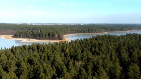 A-zoomed-in-aerial-view-of-an-enourmous-frozen-lake-and-vast-forest-during-winter-season,-Poland