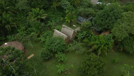huts of indigenous community pilón lajas biosphere reserve bolivia jungle rainforest