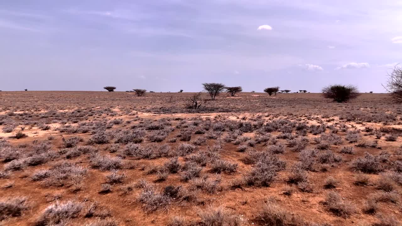 Very low drone flight over savannah desert in Kenya.
