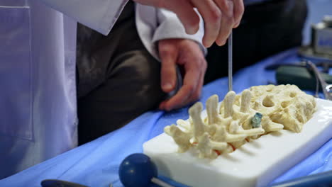 pedagogue in white robe shows the application of modern surgical tool on the dummy. instruments are placed to diverse parts of a spine model. close up. training neurosurgery.