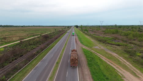 a truck carrying wooden logs on a highway with clear skies and wide-open landscapes