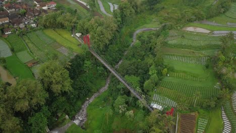 tiro de drone poi de un puente colgante de metal construido sobre un valle con un río en el fondo y rodeado de árboles y plantaciones de vegetales