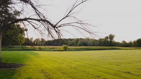 Feld-Hinter-Der-Historischen-Stätte-Auf-Der-Peter-Whitmer-Farm-In-New-York-Im-Seneca-County-In-Der-Nähe-Von-Waterloo-Mormon-Oder-Der-Kirche-Jesu-Christi-Der-Heiligen-Der-Letzten-Tage