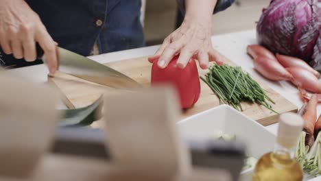 Sección-Media-De-Una-Mujer-Caucásica-Mayor-Cortando-Pimiento-Rojo-En-La-Cocina,-Cámara-Lenta