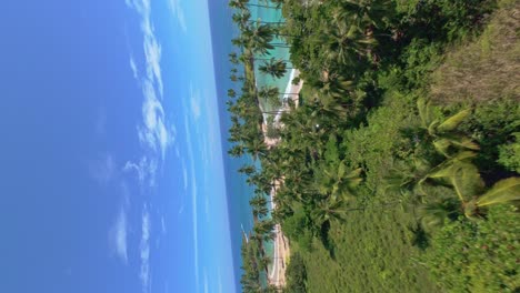 vista aérea de una playa tropical con palmeras y agua turquesa