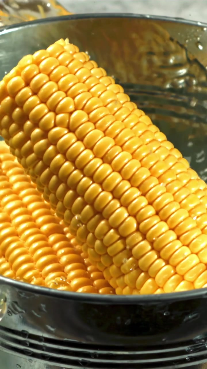 Fresh Corn Cobs Splashing into Water in a Metal Bucket