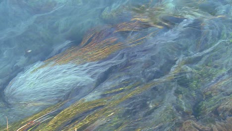 blue water flows in a mountain stream in a beautiful abstract patterns 1