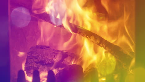 flames in log fire burning in a fireplace