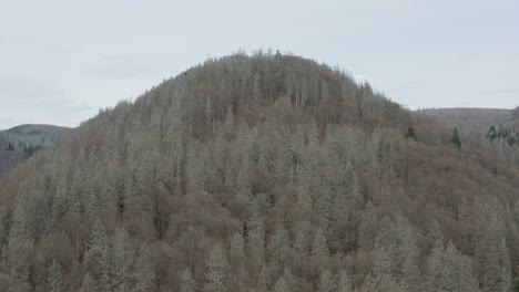 drone aerial views of the harz national park in central germany