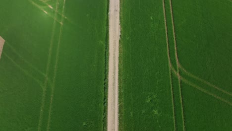 green agricultural field with a driving tractor as look-up drone shot