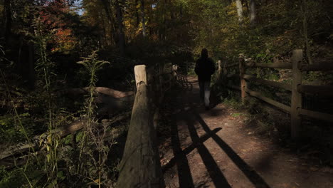 Wide-shot-of-a-man-taking-a-hike-in-the-woods