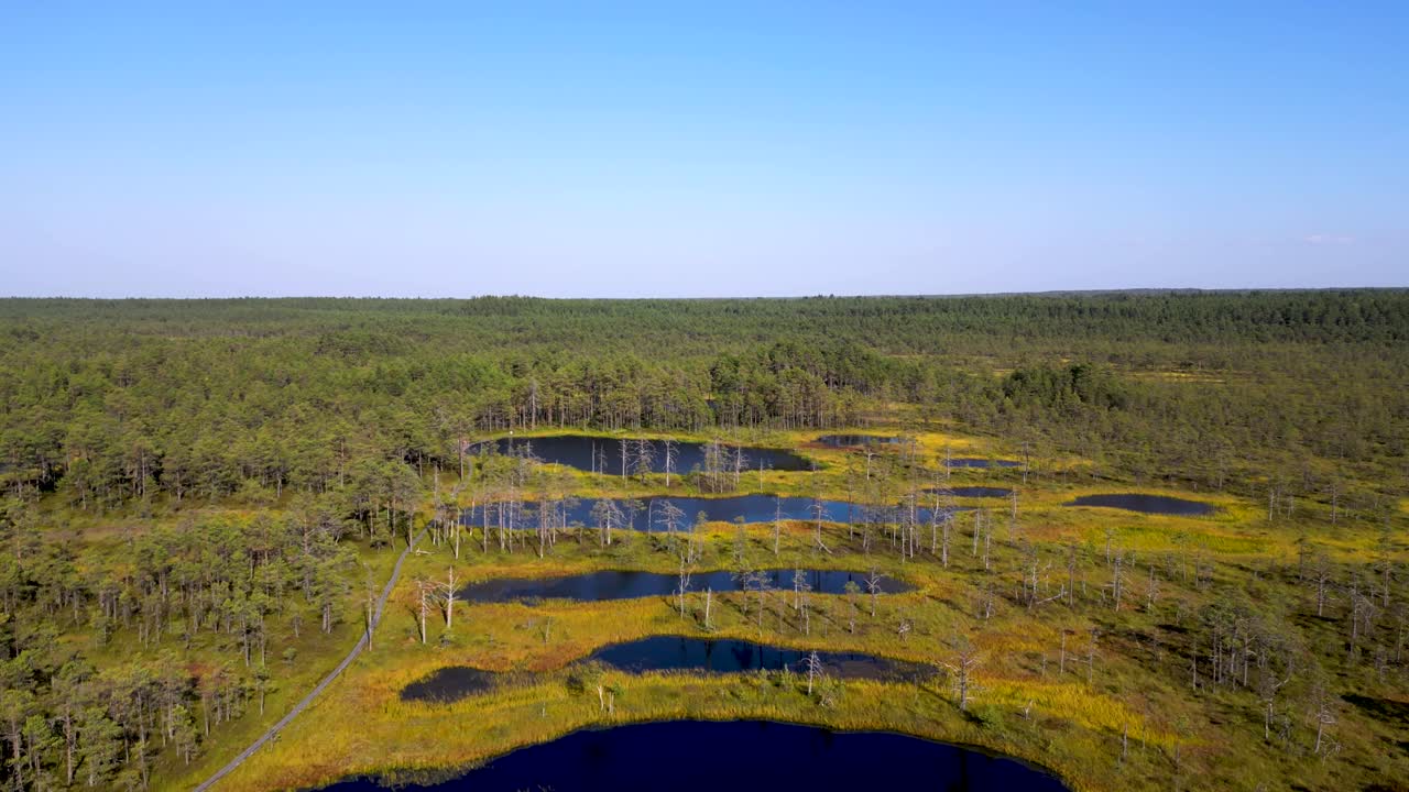 Stunning drone flight over famous Viru Bog near Tallinn, Estonia