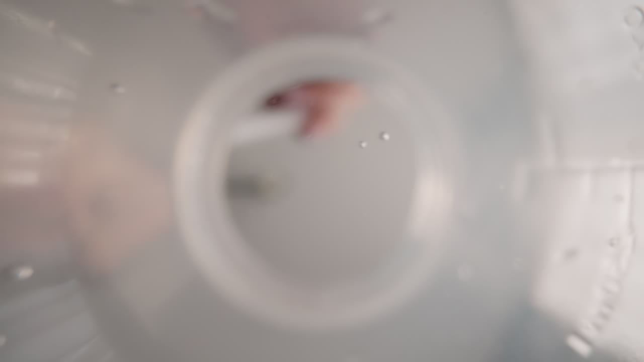 암 ⁇ 은 튜브에서 물을 담은 병에 장미 사탕을  ⁇ 습니다.