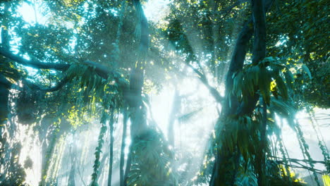 morning light in beautiful jungle garden