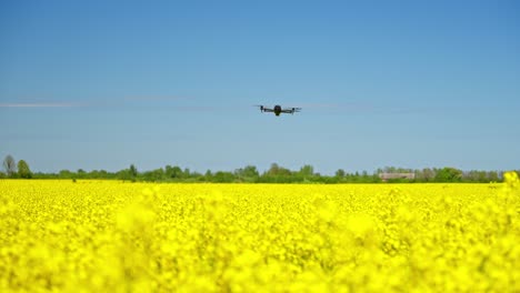 mavic 4 drone flying over a vibrant yellow flowering field under clear blue skies